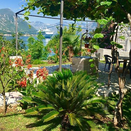 Studio Apartment Todorovic Kotor Eksteriør billede