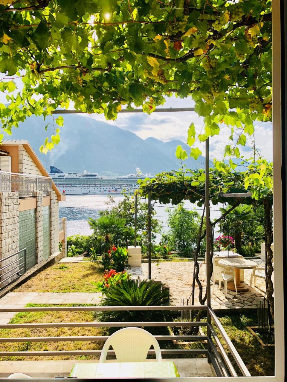 Studio Apartment Todorovic Kotor Eksteriør billede