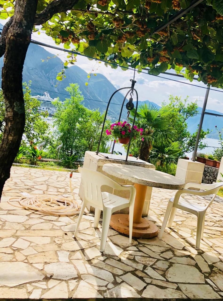 Studio Apartment Todorovic Kotor Eksteriør billede