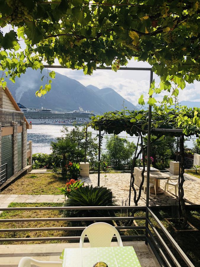 Studio Apartment Todorovic Kotor Eksteriør billede