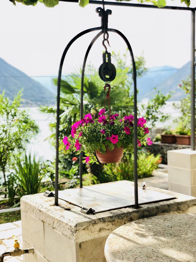 Studio Apartment Todorovic Kotor Eksteriør billede